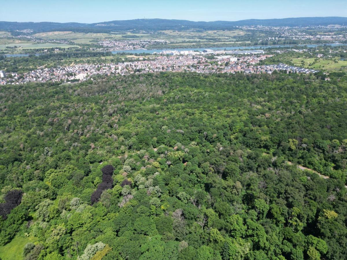 Ferienhaus Budenheim Экстерьер фото